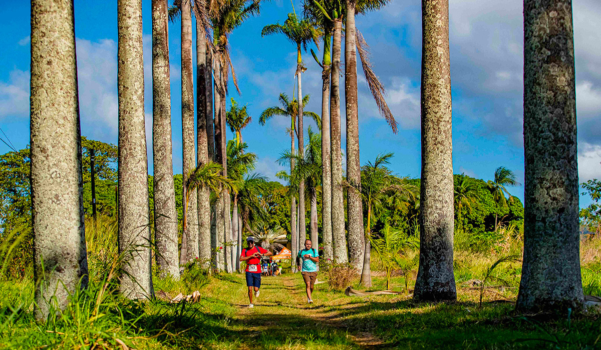 Anahita Trail : quand l'est de Maurice court pour une cause